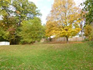 312 W Jackson St, Augusta, MI 49012 photo 10