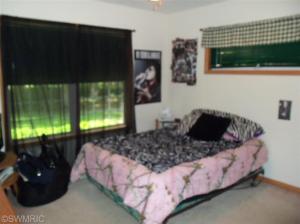 14911 E Op Ave, Climax, MI 49034 photo 13