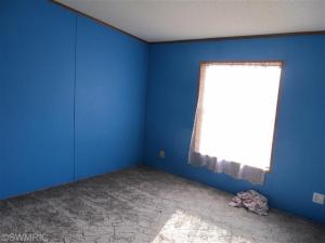 345 W Walnut St, Stanton, MI 48888 photo 12