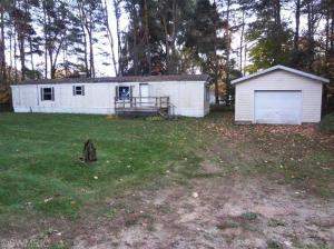 27 Peterman Dr, Stanton, MI 48888 photo 1