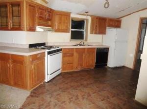 27 Peterman Dr, Stanton, MI 48888 photo 7