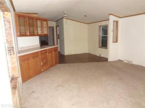 27 Peterman Dr, Stanton, MI 48888 photo 5