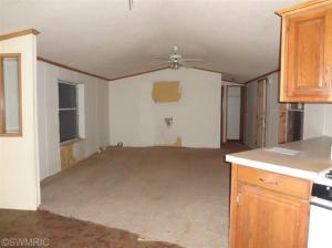 27 Peterman Dr, Stanton, MI 48888 photo 6