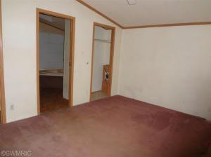 27 Peterman Dr, Stanton, MI 48888 photo 9