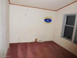 27 Peterman Dr, Stanton, MI 48888 photo 11