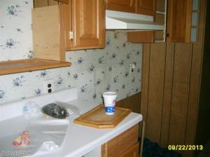 118 Wright Rd, Quincy, MI 49082 photo 11