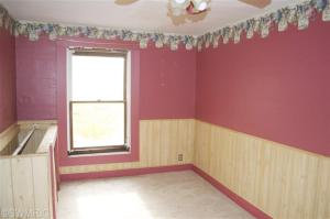 258 W Arbor St, Marcellus, MI 49067 photo 8