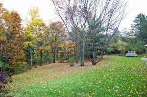 2593 E Bristol Rd, Dowling, MI 49050 photo 23