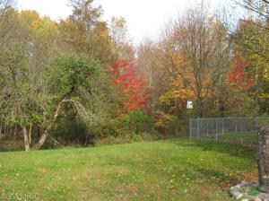 1530 Somers, Lyons, MI 48851 photo 5