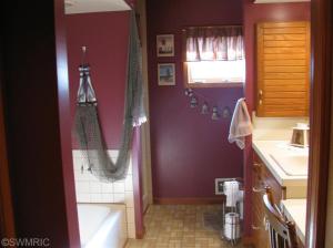 1530 Somers, Lyons, MI 48851 photo 16
