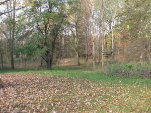1530 Somers, Lyons, MI 48851 photo 7