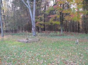 1530 Somers, Lyons, MI 48851 photo 6