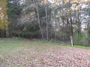 1530 Somers, Lyons, MI 48851 photo 8