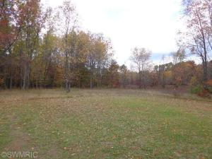 11583 Walnut Ave, Grant, MI 49327 photo 19