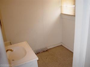 339 Avenue C, Springfield, MI 49037 photo 14