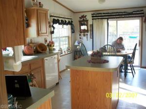 63 Hatch, Coldwater, MI 49036 photo 15