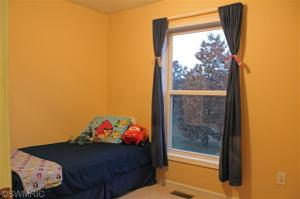 10912 Fisk Rd, Belding, MI 48809 photo 13