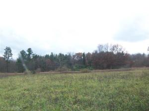 1735 S Elm Ave, White Cloud, MI 49349 photo 11