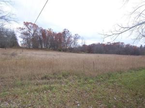 1735 S Elm Ave, White Cloud, MI 49349 photo 8