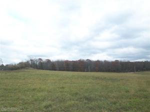 1735 S Elm Ave, White Cloud, MI 49349 photo 18