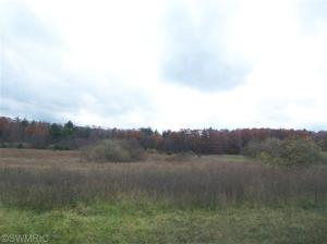 1735 S Elm Ave, White Cloud, MI 49349 photo 13