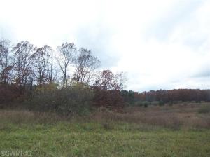 1735 S Elm Ave, White Cloud, MI 49349 photo 12