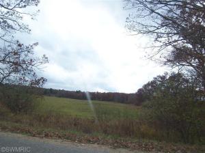 1735 S Elm Ave, White Cloud, MI 49349 photo 20