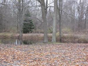 1040 E 120th St, Grant, MI 49327 photo 3