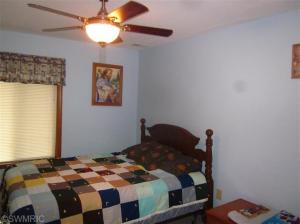 211 Dickerson Vw, Stanton, MI 48888 photo 18