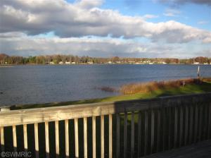 211 Dickerson Vw, Stanton, MI 48888 photo 2