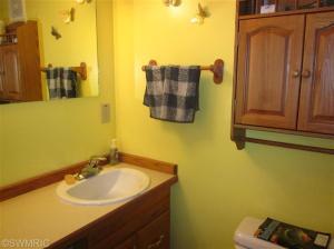 211 Dickerson Vw, Stanton, MI 48888 photo 17