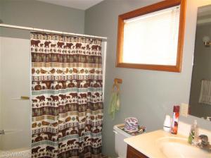 211 Dickerson Vw, Stanton, MI 48888 photo 14