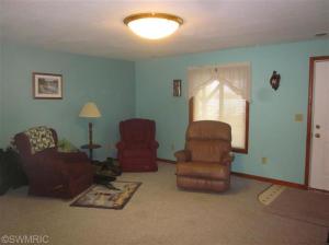 211 Dickerson Vw, Stanton, MI 48888 photo 16