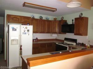 211 Dickerson Vw, Stanton, MI 48888 photo 9