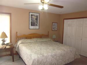 211 Dickerson Vw, Stanton, MI 48888 photo 13