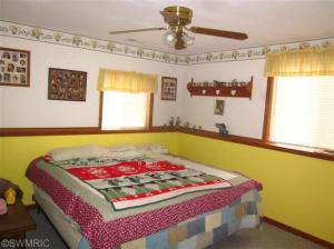 211 Dickerson Vw, Stanton, MI 48888 photo 19