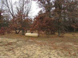 1825 E 8 Mile Rd, White Cloud, MI 49349 photo 5