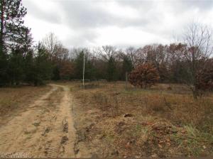 1825 E 8 Mile Rd, White Cloud, MI 49349 photo 6