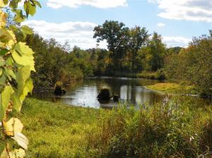 1825 Pine Hill Ave, White Cloud, MI 49349 photo 4