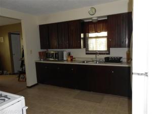 743 E Bridge St, Lyons, MI 48851 photo 4