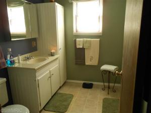 743 E Bridge St, Lyons, MI 48851 photo 7