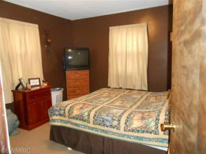 743 E Bridge St, Lyons, MI 48851 photo 8