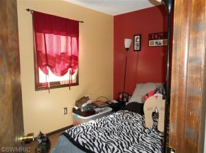 743 E Bridge St, Lyons, MI 48851 photo 6