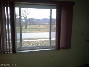 534 E Main St, Saranac, MI 48881 photo 7