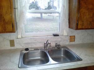 534 E Main St, Saranac, MI 48881 photo 6