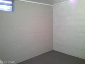 534 E Main St, Saranac, MI 48881 photo 15