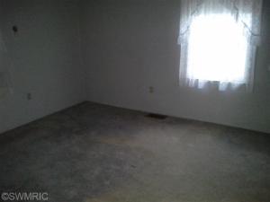 534 E Main St, Saranac, MI 48881 photo 9