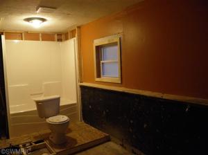 205 Bricker St, Belding, MI 48809 photo 12