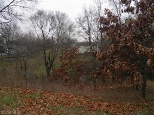 205 Bricker St, Belding, MI 48809 photo 4