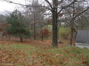 205 Bricker St, Belding, MI 48809 photo 14
